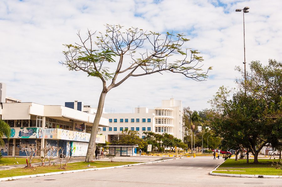 Ufsc é A única Universidade De Sc Listada Em Ranking Mundial De Desenvolvimento Sustentável