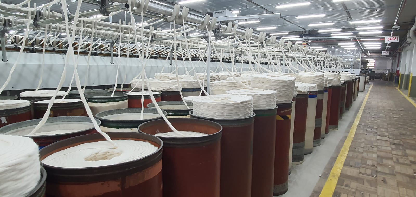 Como essa empresa de Gaspar transformou linhas em oportunidades ao longo de 88 anos