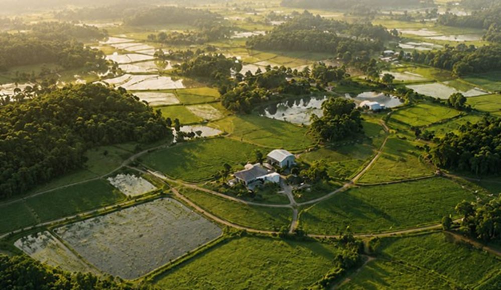 SC bate novo recorde no agro com VPA de R$ 75,1 bilhões e crescimento de 12%