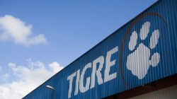 TIGRE