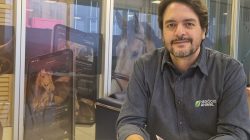 Foto: divulgação.