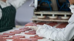 Foto: WavebreakMediaMicro/AdobeStock