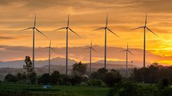 Foto: sarayut_sy/AdobeStock