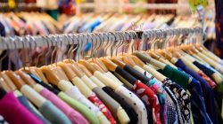 Foto: brostock/AdobeStock