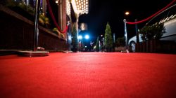 Foto: alipko/AdobeStock