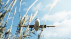 Foto: Raul Mellado/AdobeStock