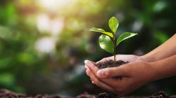 Foto: lovelyday12/AdobeStock
