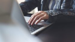 Foto: tippapatt/AdobeStock