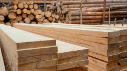 AdobeStock_471820035