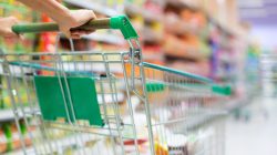 Foto: Korta/AdobeStock