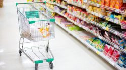 Foto:  Korta/AdobeStock