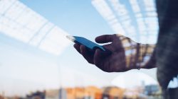 Foto: SFIO CRACHO/AdobeStock