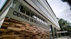 Foto: divulgação.