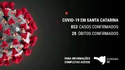 COVID-19 (1)