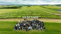 Foto: @nada.coletivo