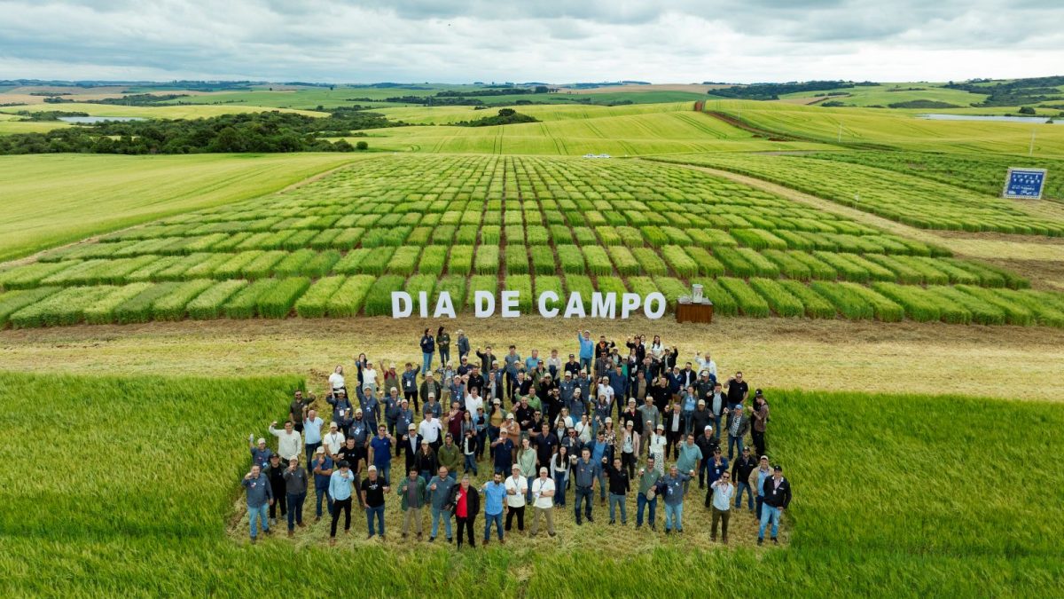 Foto: @nada.coletivo