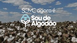 Foto: divulgação.