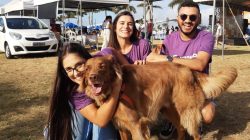 Foto: divulgação.