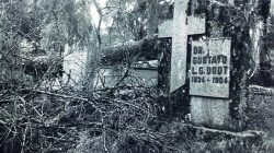 Foto: divulgação/arquivo