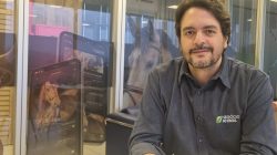 Foto: divulgação.