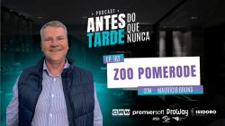 OBJETO BRASIL-2