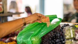 Foto: Jonatã Rocha/SecomGOVSC