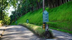 Parque Malwee