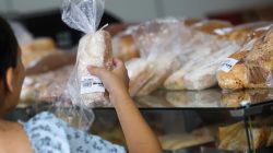 Foto: Ricardo Trida/SecomGOVSC