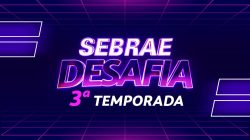 Sebrae Desafia