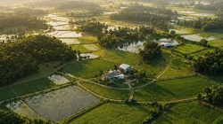 Foto: divulgação/Epagri.