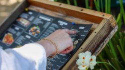 Foto: Thiago Kaue/SecomGOVSC