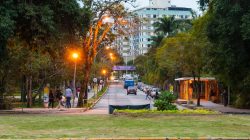 Foto: Henrique Almeida/UFSC