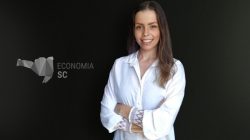 Ana Paula Dahlke, editora-chefe do Economia SC