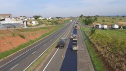Foto: divulgação Eixo SP
