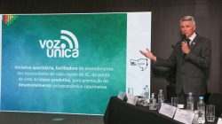 Foto: divulgação.