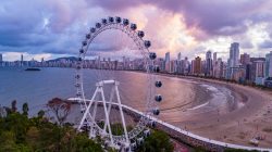 Foto: divulgação FG