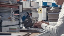 Foto: stokkete/AdobeStock