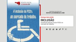 Revista 04 - PCDs