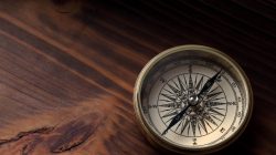 Foto: sumire8/AdobeStock
