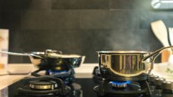 Foto:  lulu/AdobeStock