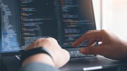 Foto: tippapatt/AdobeStock