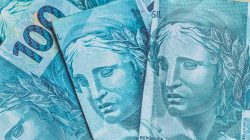 Foto: Rmcarvalhobsb/AdobeStock