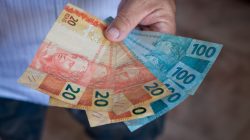 Foto: Gustavo/AdobeStock