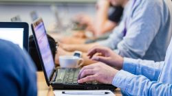 Foto: zphoto83/AdobeStock