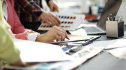 Foto: yurolaitsalbert/AdobeStock