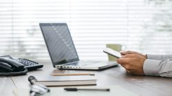 Foto: stokkete/AdobeStock