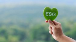 Foto: Pcess609/AdobeStock
