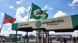 Foto: divulgação e21