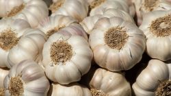 Foto: jackmac34/AdobeStock