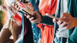 Foto: golubovy/AdobeStock